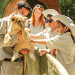 Phu Quoc Vinpearl Safari Zookeeper Tour – Feed The Animals & Experience Being An Animal Caretaker!
