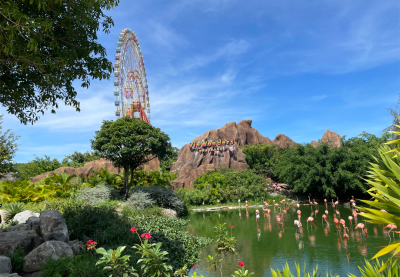 Qr Ticket Vé Vào Cổng Vinwonders Nha Trang, Cáp Treo Vinpearl, Go-kart, Và Cảng Habor