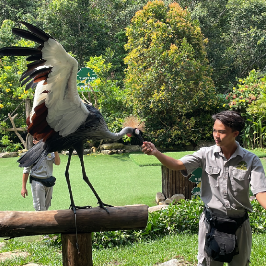 Phu Quoc Vinpearl Safari Entry Ticket – QR Mobile Ticket
