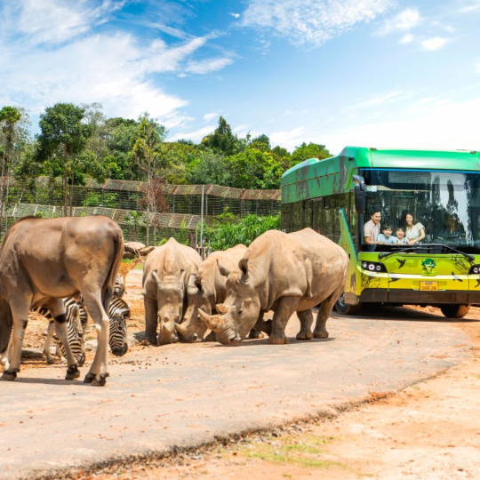Phu Quoc Vinpearl Safari Entry Ticket – QR Mobile Ticket