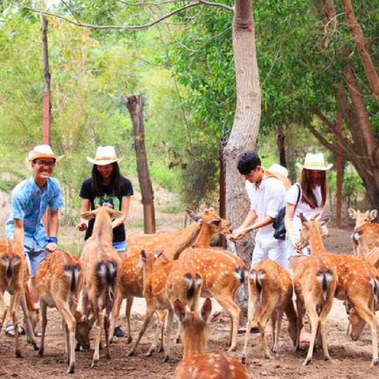 Monkey Island & Orchid Island Tour, Nha Trang