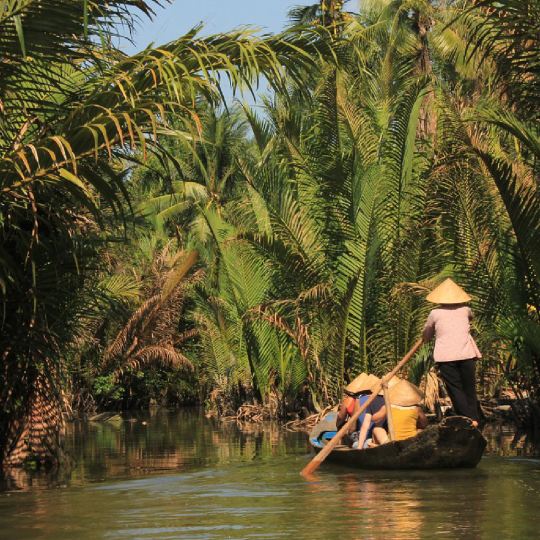 1 Day Mekong Tour Departing From Ho Chi Minh City