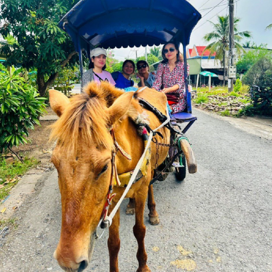 1 Day Mekong Tour Departing From Ho Chi Minh City
