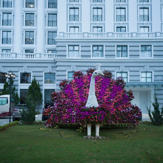 Khách Sạn Merperle Đà Lạt