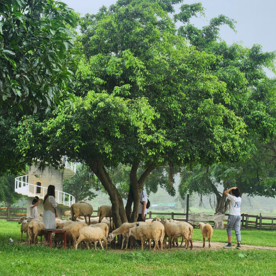 Tour Jeep Khám Phá Sa Mạc Phan Rang