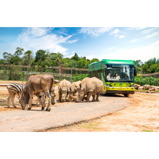 Phu Quoc Vinpearl Safari Entry Ticket – QR Mobile Ticket