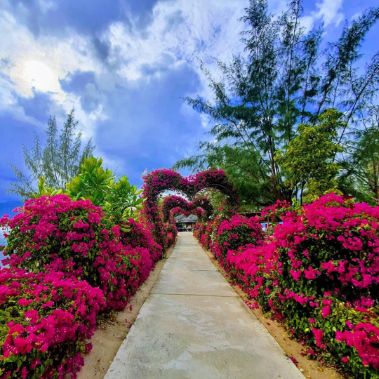 Monkey Island & Orchid Island Tour, Nha Trang