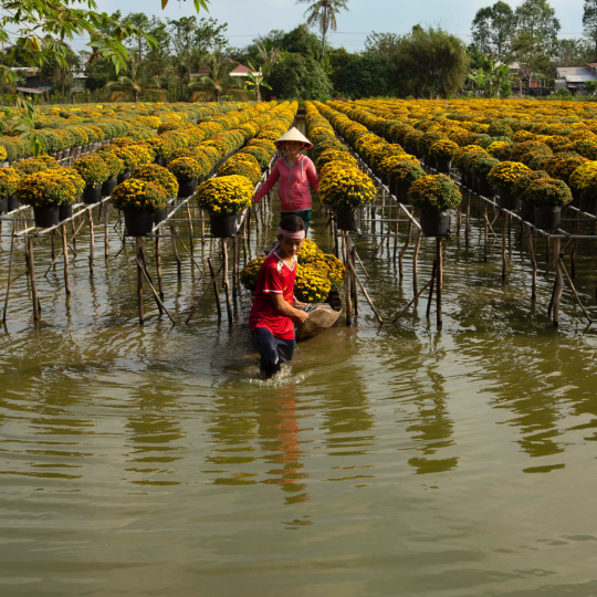 1 Day Mekong Tour Departing From Ho Chi Minh City